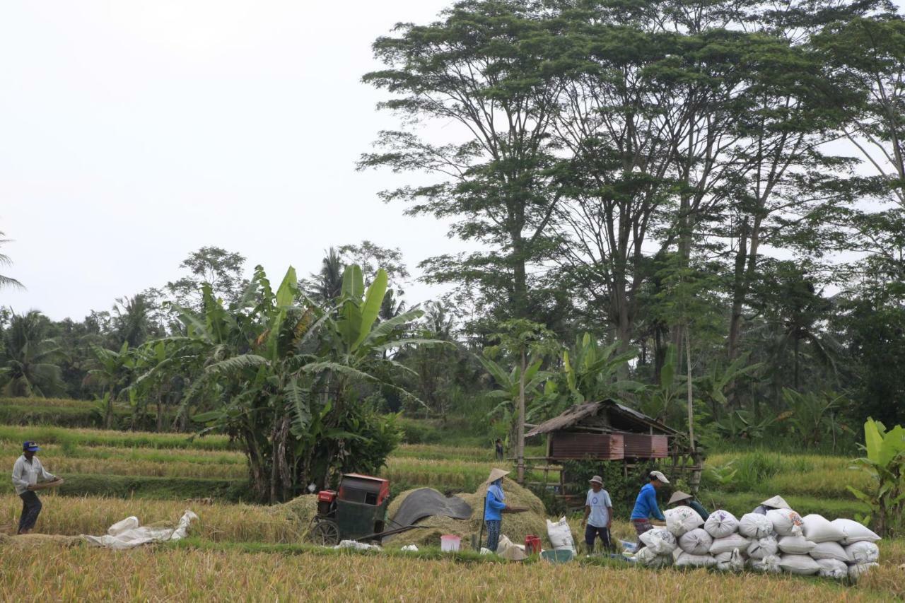 Pondok Gepokan Homestay Ubud Exterior foto